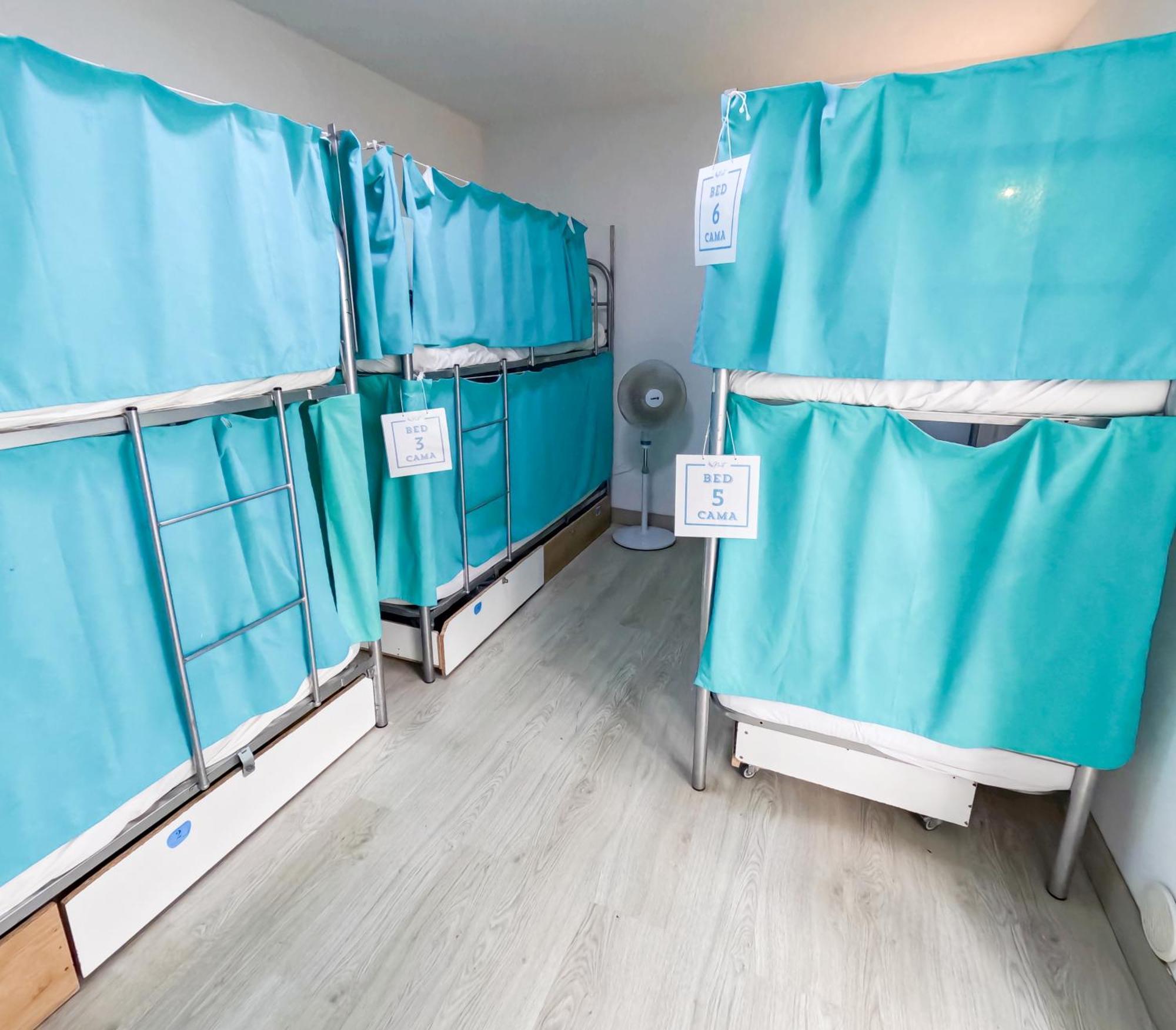 Bunk Bed in Mixed Dormitory Room