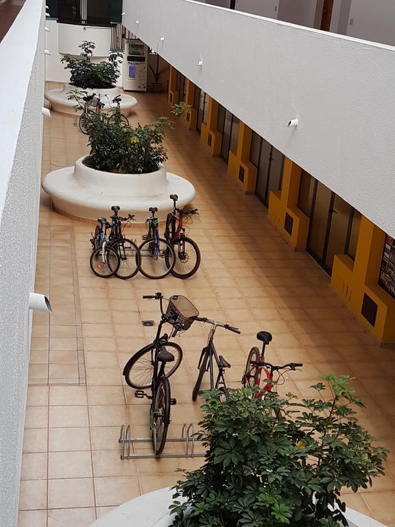 2 Bedroom Apartment with terrace,389880525:JPEG