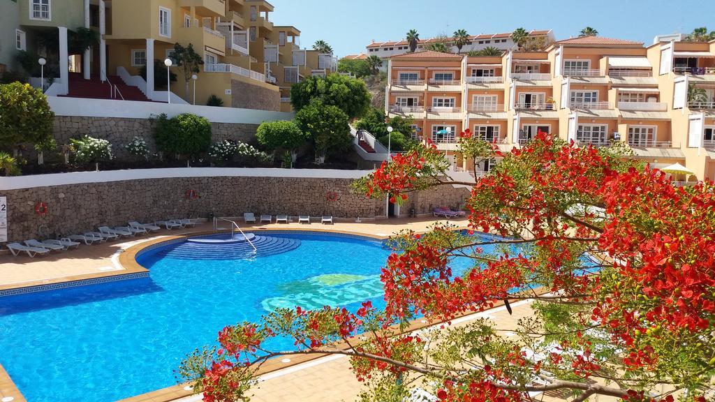 One-Bedroom Apartment,402788712:JPEG