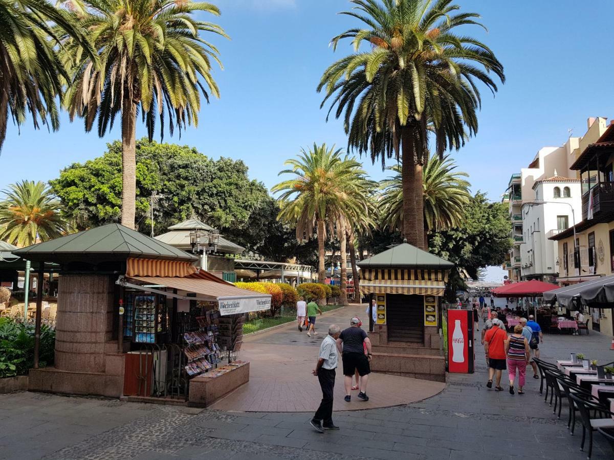 Penthouse Apartment,885847258:JPEG