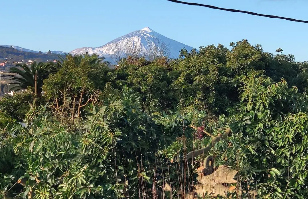 La Chimenea Verde-1