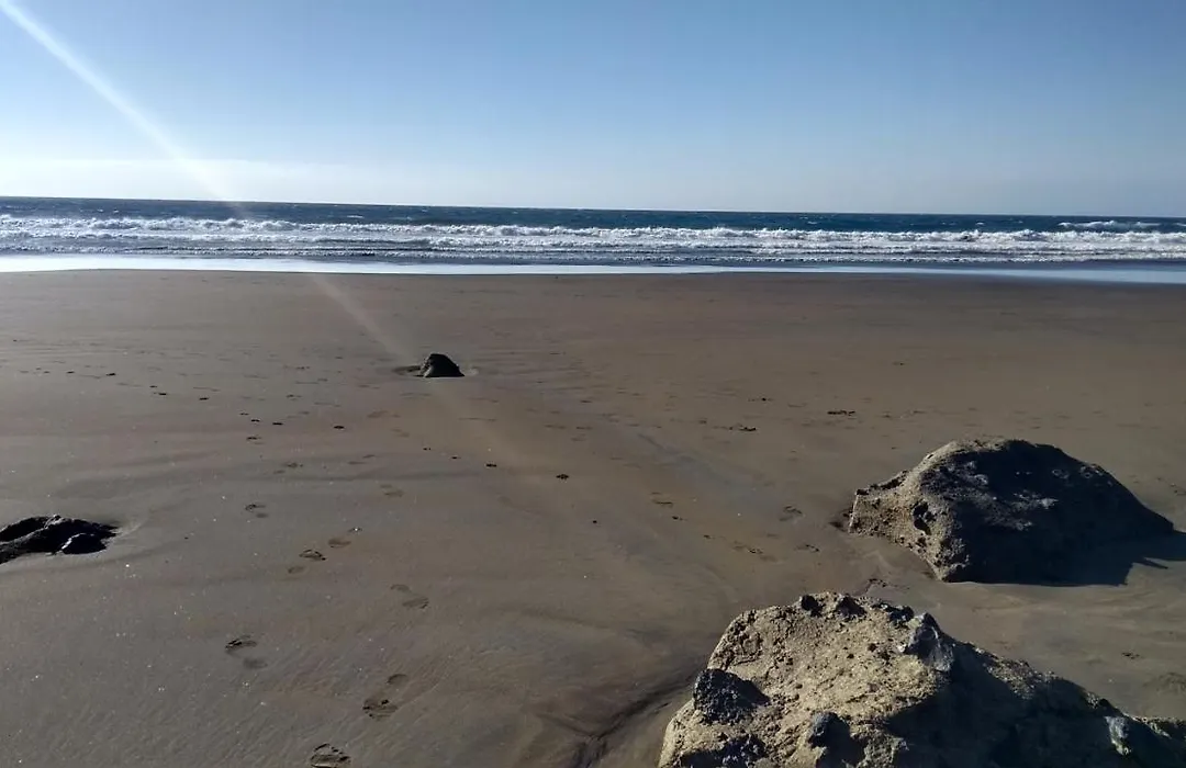 Wind, Sun & Sea-1