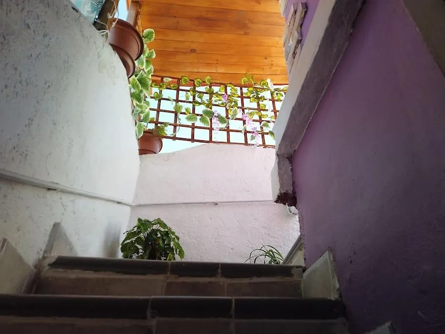 Casa Dionea, Puerto De La Cruz-1