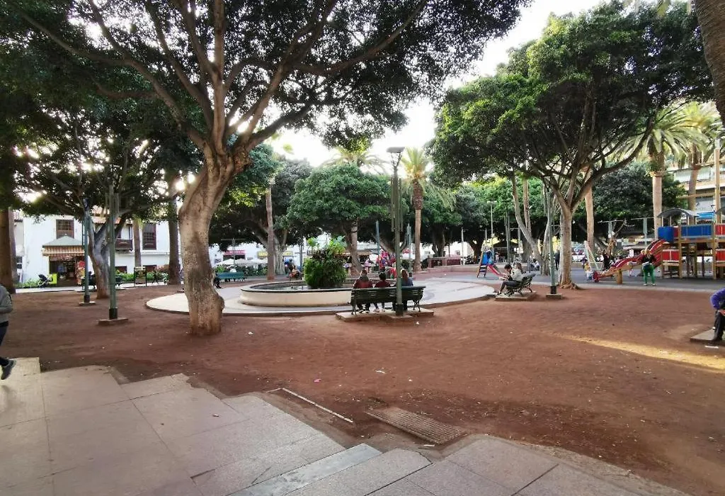 Avc Valle Luz-1