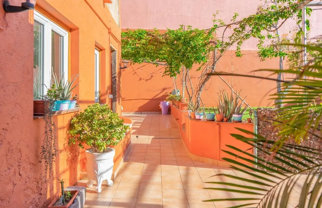 Cactus Coliving & Coworking-1