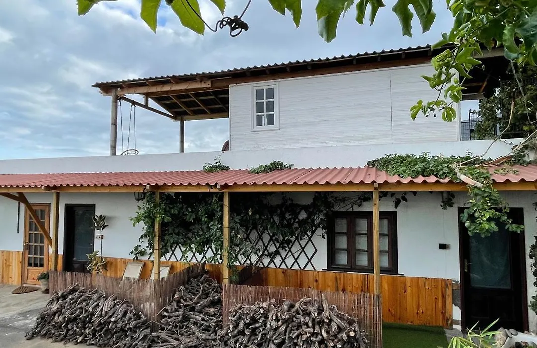 Los Conejos-1