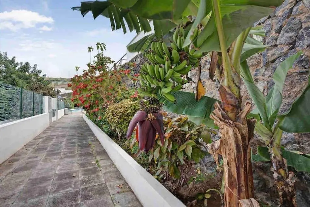 Paradise Studio Belair Wifi, Piscina, Parking-1