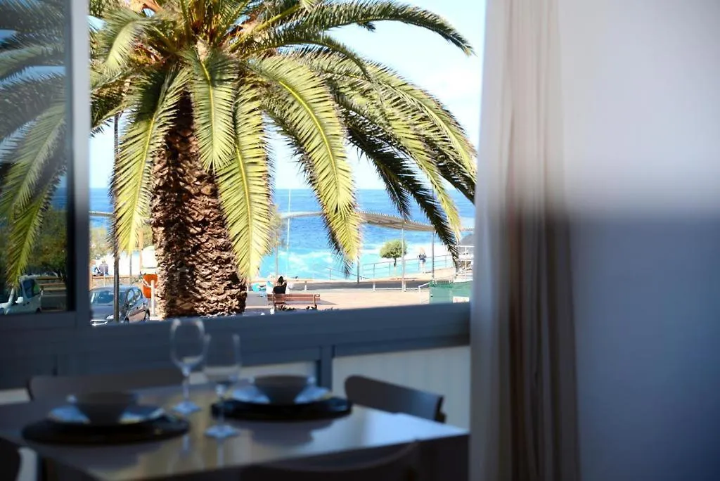Green Coast Suite-1