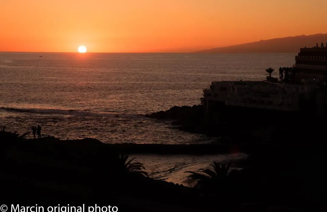 Tenerife Lizards - Duplex In The First Line-1