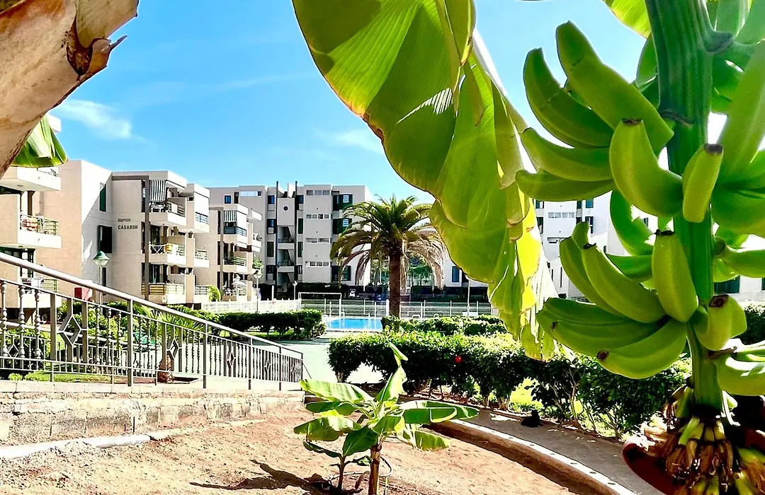Las Vinas Apartment-1