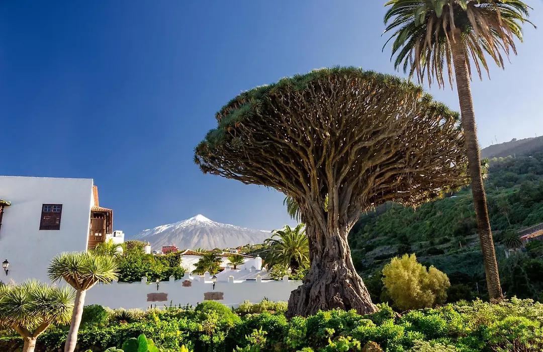 Eden Rentals Coqueto Estudio Con Vistas-1
