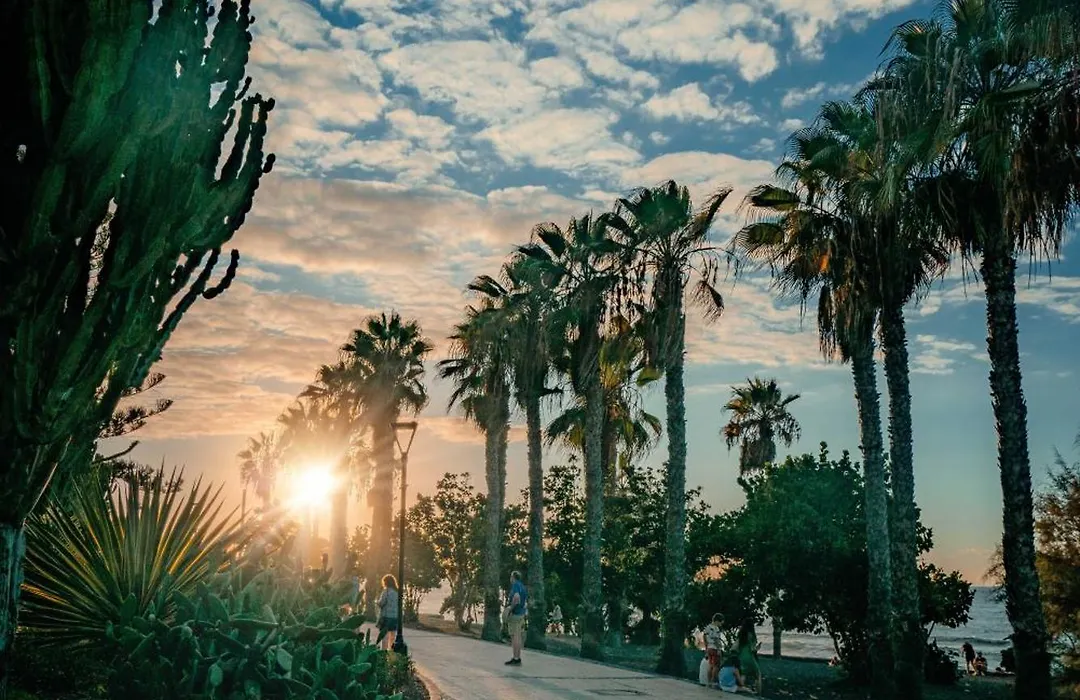 Prime Homes Playa Jardin Studio-1