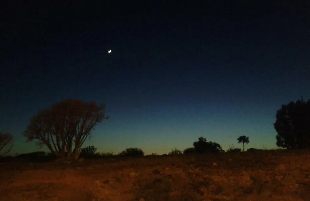 By Jonni Res. Chaparral-1