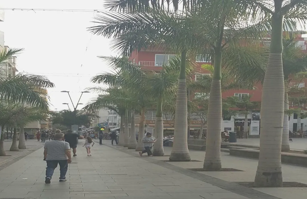 LOS CRISTIANOS apt brisol-1