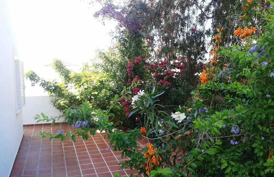 Casa Vista Y Jardin En Costa Adeje-1
