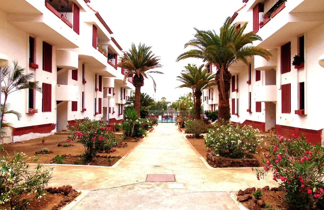 Apartment Altemar In Las Americas-1