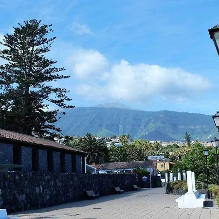 Apartamento Con Terraza Y Piscina C-2