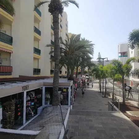 El Carmen-3