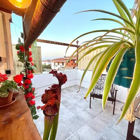 Casa Dionea, Puerto De La Cruz-2