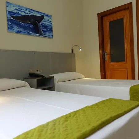 Hotel Andrea'S-3