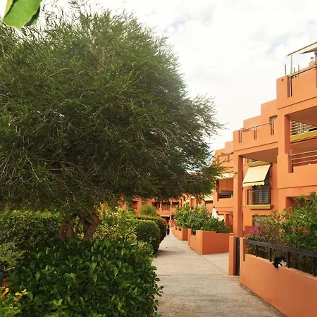 Alquilaencanarias El Medano Sotavento A, Terrace & Pool-3