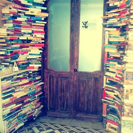 Ratones de Biblioteca-2