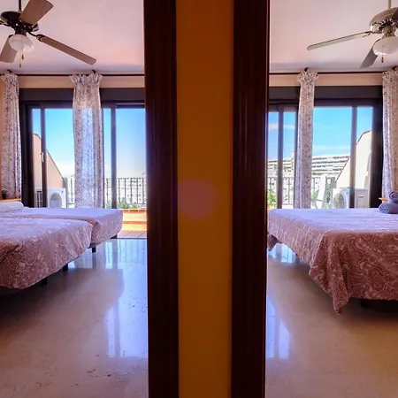 Tenerife Lizards - Duplex In The First Line-3