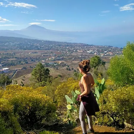 La casita-3