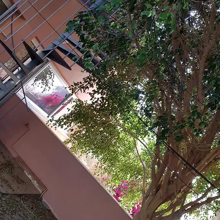 Strelitzia Park-3