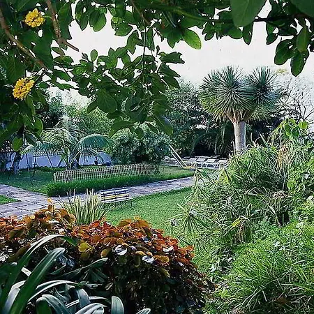 Hotel Internacional-3