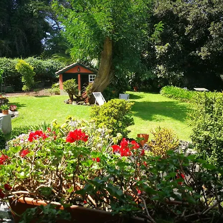 Jardines De Hortensia - Vacation Home Tenerife-3