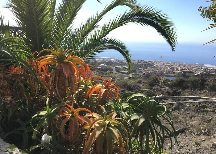 Pet friendly Rosamar Apartment Los Cristianos 