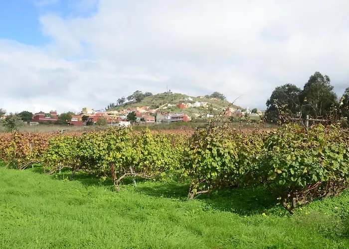 Casa Rural El Adelantado Tacoronte admite animales