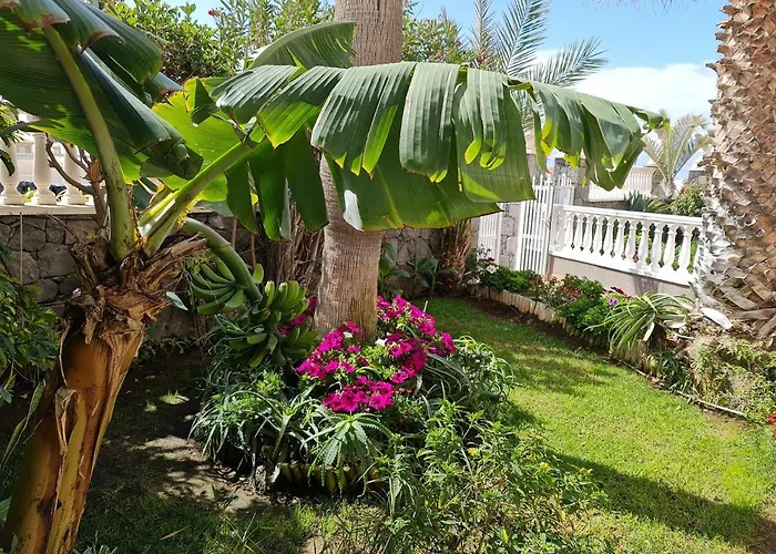 Apartamentos Los Delfines El Médano
