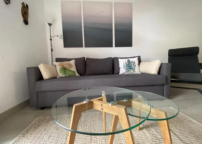 Pet friendly Apartamento Kinegua Acogedor Y Luminoso Apartment Puerto de la Cruz 