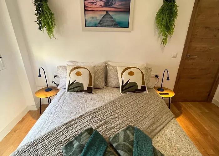 Pet friendly Dream Discovery Santa Cruz de Tenerife