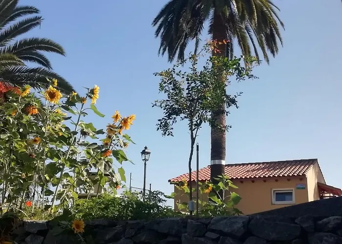Cristina Sol H1 Apartamento Puerto de la Cruz  aceita animais de estimação