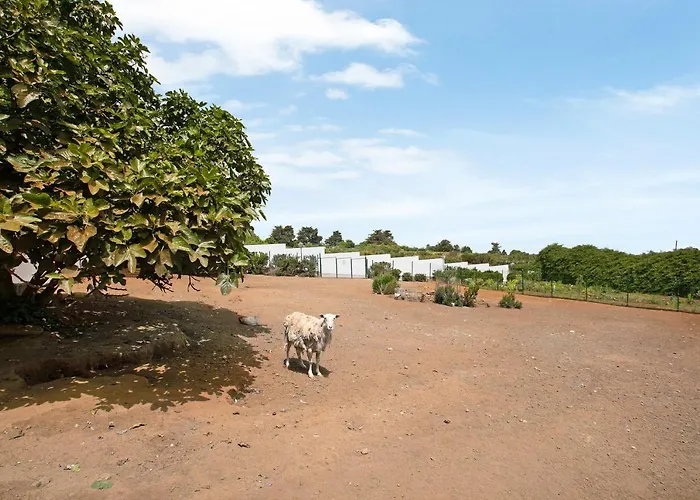 Finca Ecológica Laurisilva Villa Tacoronte con Piscina