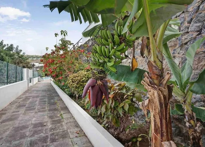 Paradise Studio Belair Wifi, Piscina, Parking Puerto de la Cruz  che accetta animali