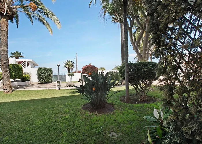 Apartamento Drago Apartamento Puerto de la Cruz  aceita animais de estimação