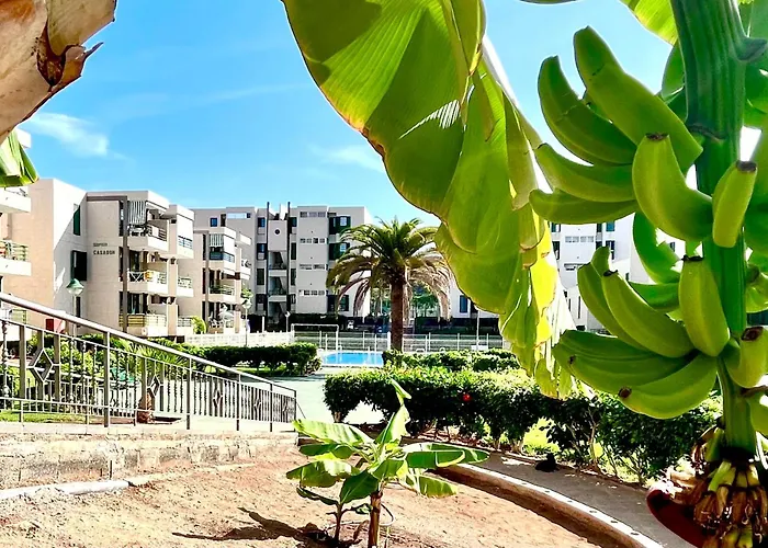 Las Vinas Apartment Playa de las Américas
