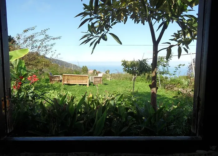 Finca Cueva del Viento Icod De Los Vinos