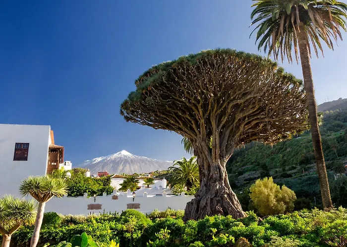 Eden Rentals Coqueto Estudio Con Vistas Puerto de la Cruz  aceita animais de estimação
