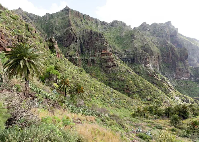 Villa Live masca casatarucho Buenavista Del Norte