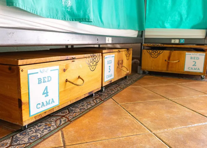 Arena Nest Hostel Puerto de Santiago 
