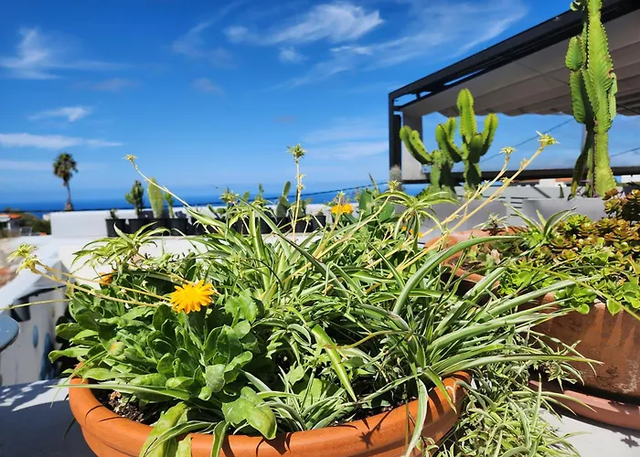 Casa Salvia Bed&Breakfast - Icod - Tenerife Icod De Los Vinos