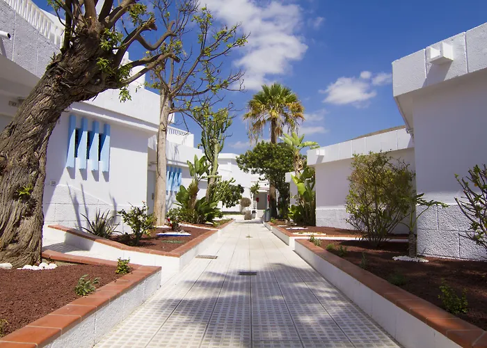 Los Cristianos (Tenerife) Cheap Pet friendly Hotels