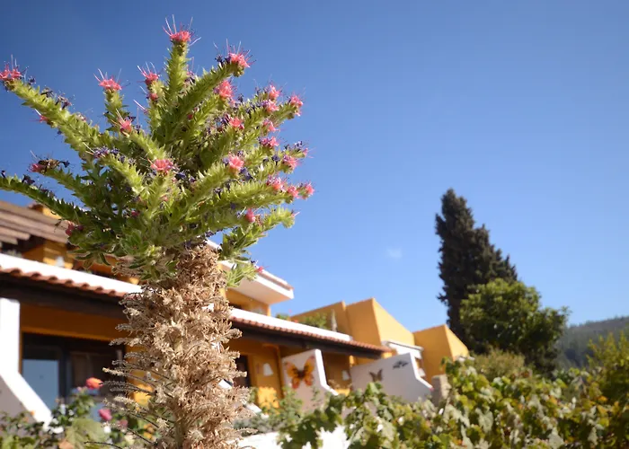Hotel Alta Montaña Vilaflor