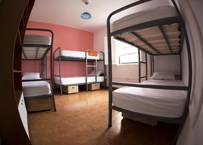 Patio Hostel (Adults Only) La Laguna  acceptant les animaux