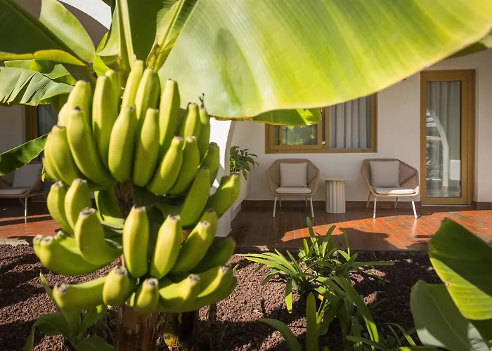 Hotels in de buurt van Loro Parque